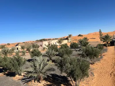 an old building in the middle of a desert with trees at Auberge Camping La Libertè in Merzouga
