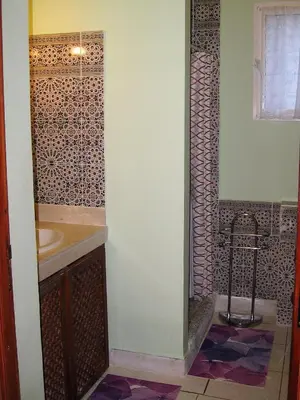 a bathroom with a sink and a shower at Domaine des Sloughis in Meknès