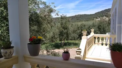 a balcony with potted plants and a view of a yard at Domaine des Sloughis in Meknès