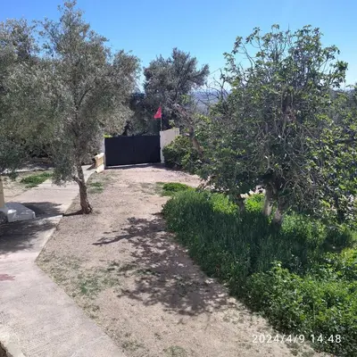 a dirt road with trees and a black fence at Domaine des Sloughis in Meknès