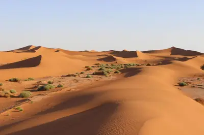 a desert with sand dunes and trees and bushes at Nejma luxury camp erg chegaga in El Gouera