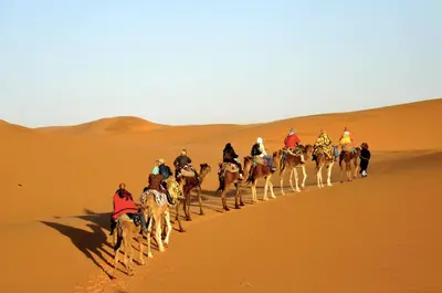 a group of people riding horses in the desert at Sahara camel tours camp in Merzouga
