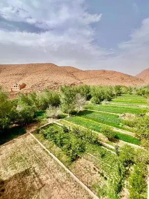 an overhead view of a field of crops at Grand Canyon Lodge Dades in Aït Idaïr