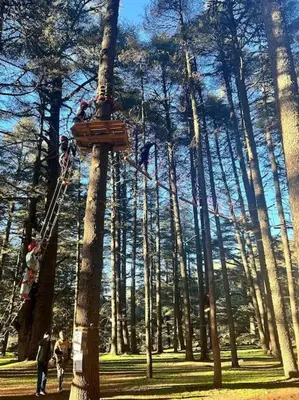 a group of people climbing up a tree at Cozzy F2 appartement Ifrane in Ifrane