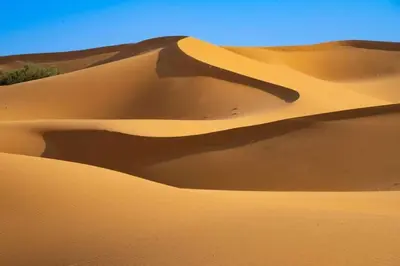 a sand dune in the desert on a clear day at Bright Star Desert Camp in Merzouga