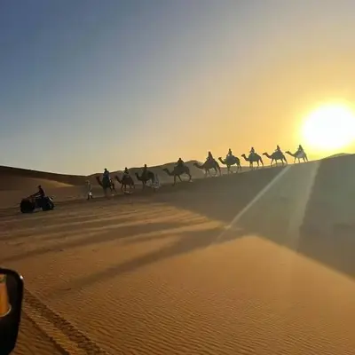 Bright Star Desert Camp