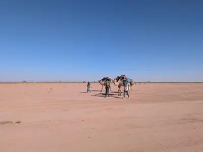 a group of people walking on the beach at Camp Local Family in Mhamid