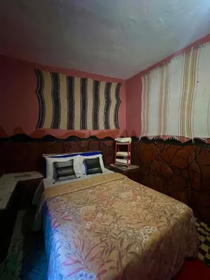 a bedroom with a large bed in a room at Maison d'hôte Riad Todra in Tinerhir