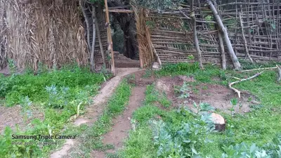 a dirt path in front of a straw hut at Maison d'hôte Riad Todra in Tinerhir