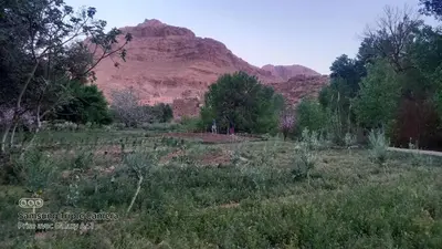a field with a mountain in the background at Maison d'hôte Riad Todra in Tinerhir