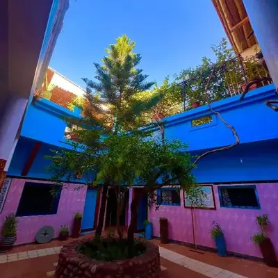 Maison d'hôte Riad Todra