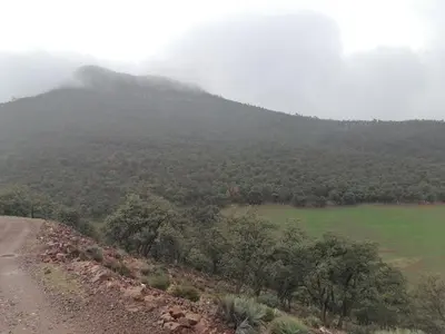a view of a mountain from a dirt road at AYA Farm,Ferme d'hotes Aguelmous in Khenifra