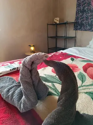 a pair of snakes laying on a bed at Guest House Nomad Life in Merzouga