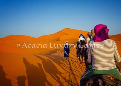 a group of people riding on camels in the desert at Merzouga Desert Camps in Merzouga