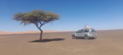 a car parked next to a tree in the desert at Riad camels house in Merzouga