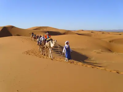 a group of people riding on camels in the desert at Riad camels house in Merzouga