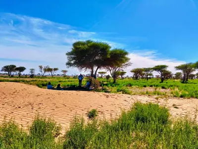 a group of people sitting under a tree in a field at Bivouac Sahara Passions in Mhamid