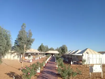 a row of tents in a field with a pathway at Merzouga Berber Camp in Merzouga