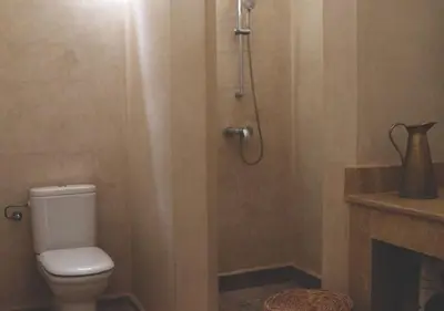 a bathroom with a shower with a toilet and a fireplace at Maison d'Hôtes à Marrakech in Marrakech