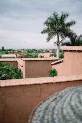 a view of a palm tree from a building at Dar Syada Boutique Hotel & SPA Marrakech in Marrakech