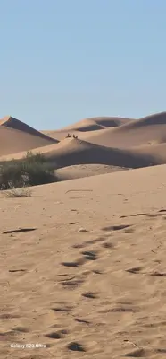 a desert with footprints in the sand at Luxury Nomadic Tented Camp in Merzouga