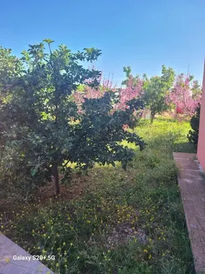 a garden with trees and flowers in a field at belle ferme a louer in Tiflet