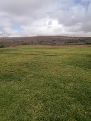 an open field with a large field of green grass at Domaine Lamrah in Marrakech