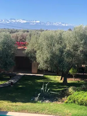 a tree in a yard with mountains in the background at Jardin Sakina - Séjour paisible avec soins bien-être, à 35 minutes de Marrakech in Marrakech