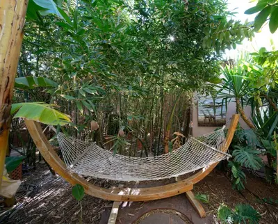 a hammock in a garden with trees and plants at Jardin Sakina - Séjour paisible avec soins bien-être, à 35 minutes de Marrakech in Marrakech