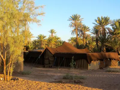 a tent in the desert with palm trees at Dar Sidi Bounou in Mhamid