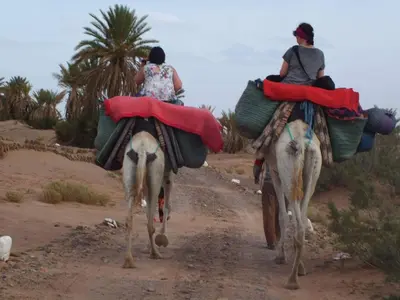two people riding on the backs of camels down a dirt road at Dar Sidi Bounou in Mhamid
