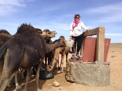 a woman standing next to a group of camels at Dar Sidi Bounou in Mhamid