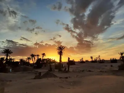 a sunset in the desert with a palm tree at voyageur m'hamid Ghislaine in Tâlhâ