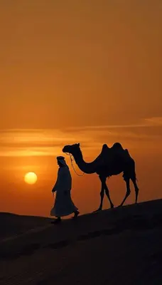 a man walking a camel in the desert at sunset at voyageur m'hamid Ghislaine in Tâlhâ