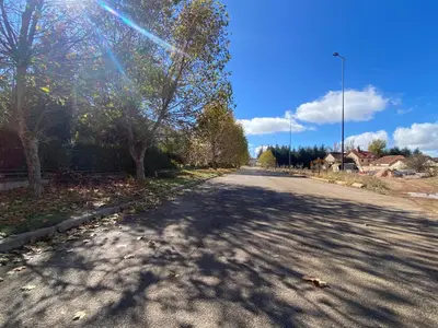 an empty street with trees on the side of the road at Cedar Peak Residence in Ifrane
