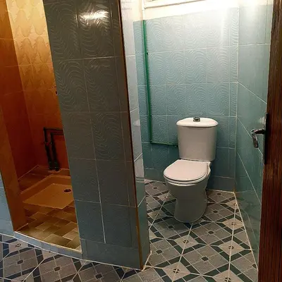 a bathroom with a toilet and a glass shower door at Riad Taourirte in Tinerhir