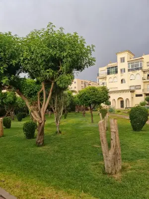 a park with trees and a building in the background at Apartment Fes Urban Elegance - Garden & Pool in Fès