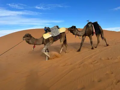 Gallery image of Zahra Luxury Desert Camp in Merzouga