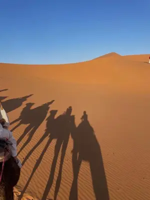 a group of people shadows in the desert at Sahara Elegance Camp in Merzouga