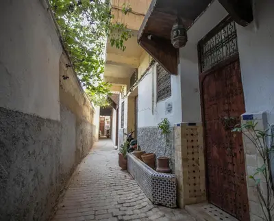 an alley with a building with a door and potted plants at Dar Lala Mama in Fès