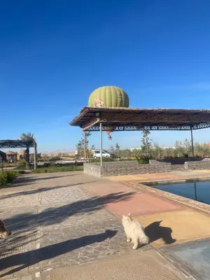 Gallery image of Dar koujane in Oulad el Guern