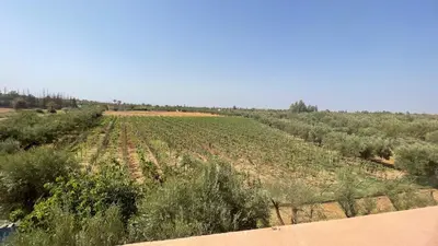 Gallery image of maison ourika in El Kriet