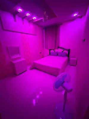 a purple room with two beds and a fan at Appartement fes magnifique in Fès