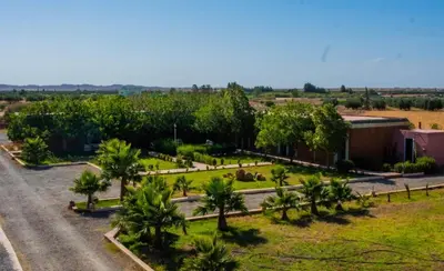 an aerial view of a road with palm trees at Benyakoub in Mahirija