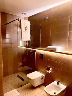 a bathroom with a toilet and a shower and a sink at Hôtel Le Manoir in Taza