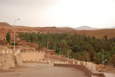a road in the middle of a desert with trees at Maison Ich chez Abdel in Ich