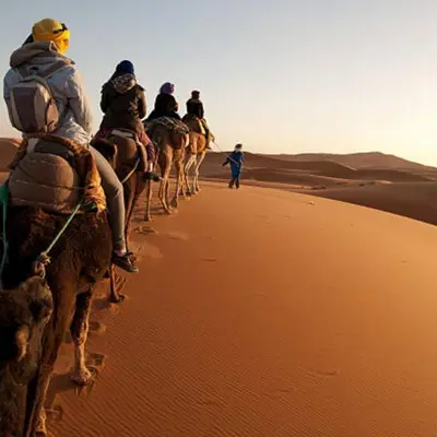 a group of people riding camels in the desert at desert tribe luxury camp in Merzouga