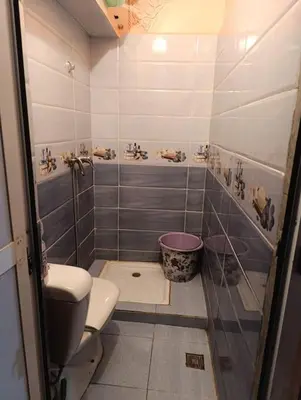 a small bathroom with a toilet and a shower at Tradionelle Berber Ain Sardoun in Beni Mellal