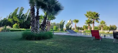 a park with two chairs and a palm tree at Domaine Farah in Meknès