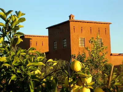 an orange tree in front of a brick building at Dar Tasmayoun in Aït Ourir